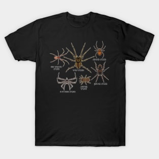 Spider Species Tarantula Arachnid Gifts Spider T-Shirt